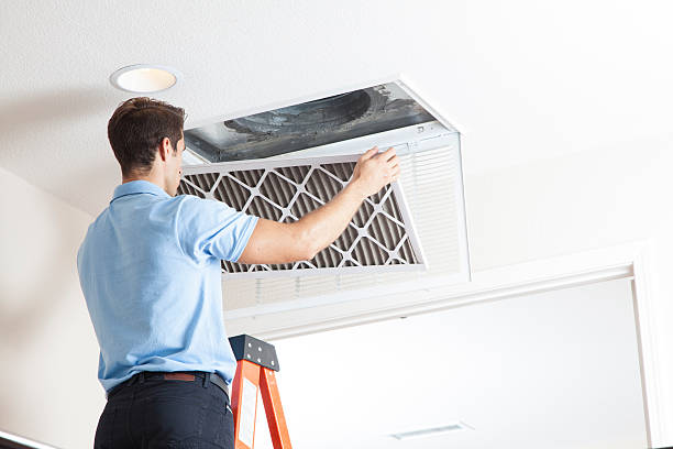 Best Local HVAC companies  in Lewisburg, KY